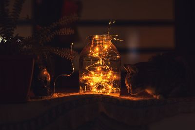 Close-up of illuminated string lights in jar by cat on table at home