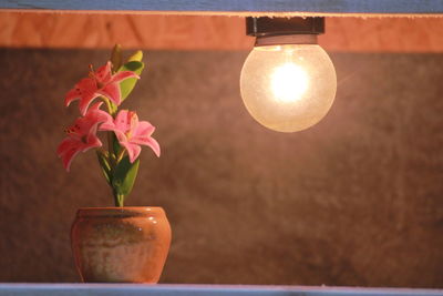 Close-up of illuminated light bulb