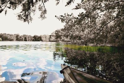 Reflection of trees in lake against sky