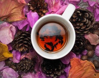 High angle view of food on table