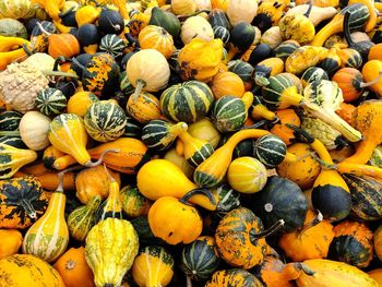 Full frame shot of pumpkins for sale at market