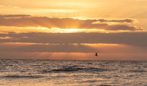 Scenic view of sea against orange sky