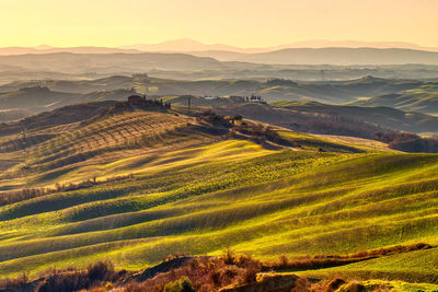 Scenic view of agricultural field against sky during sunset