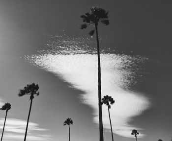 Low angle view of trees against cloudy sky