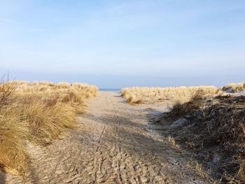 Scenic view of beach against sky