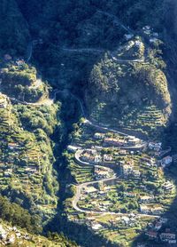 High angle view of agricultural landscape