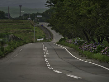 Road amidst trees in city