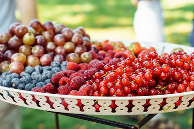Various fresh berries on platter in yard during picnic in summer