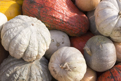 Full frame shot of pumpkins at market stall