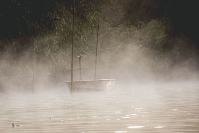 A foggy morning in delta 