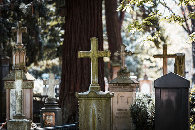 Panoramic view of cemetery