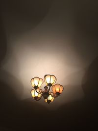 Close-up of illuminated lamp