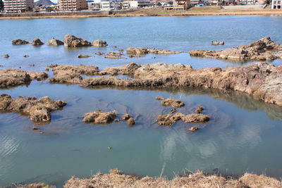 High angle view of rock formation in river