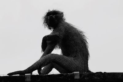 Low angle view of monkey against clear sky