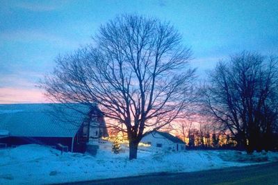 Scenic view of snow covered landscape