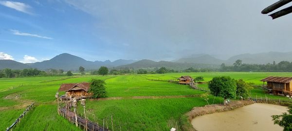 Scenic view of agricultural field against sky