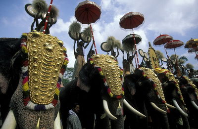 People sitting on royal elephants against sky