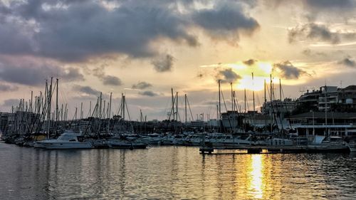 Sailboats in marina at sunset