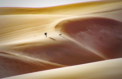 Lead the way... great sand dunes ... a man and is dog
