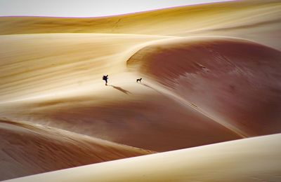 Scenic view of desert