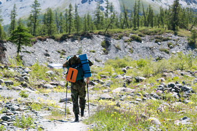 Rear view of man hiking on land