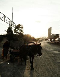 Car on road at sunset