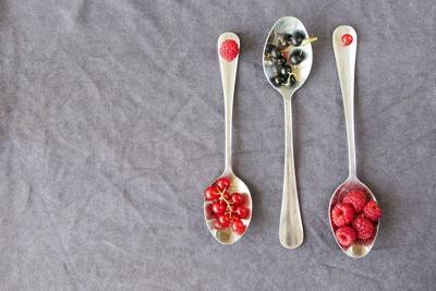 High angle view of fruits against white background