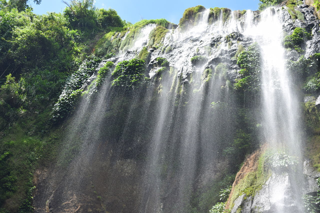 LOW ANGLE VIEW OF WATERFALL AGAINST TREES