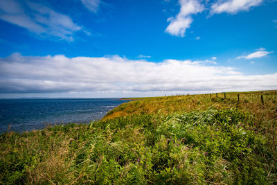 Scenic view of sea against sky