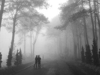 Rear view of people walking on road in forest