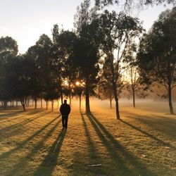 Silhouette man standing on field against trees during sunset