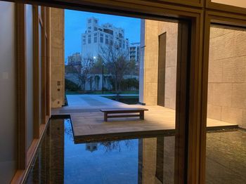 Reflection of trees on swimming pool against building