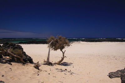 Scenic view of beach against clear blue sky