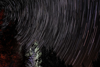 Low angle view of trees against sky at night