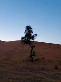 Tree on field against clear sky