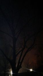 Low angle view of bare trees against sky at night