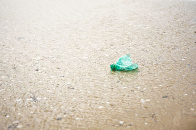 Toy on sand at beach