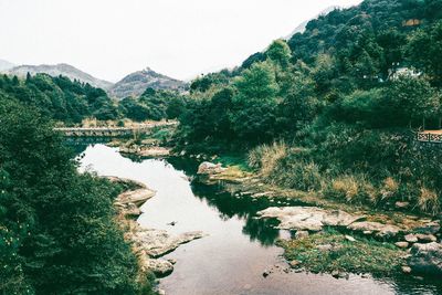 Scenic view of river against sky