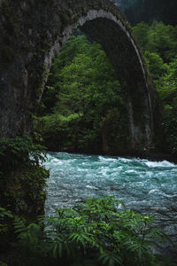 Arch bridge over river in forest