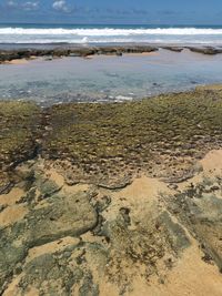 High angle view of beach