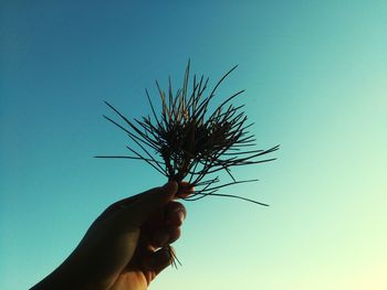 Close-up of hand holding blue sky