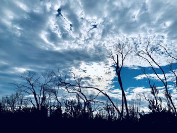 Silhouette bare trees on field against sky