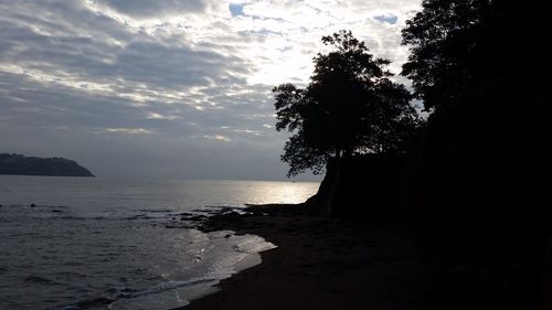 Silhouette tree on beach against sky during sunset