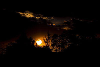 Silhouette trees against sky at night