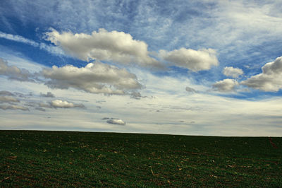 Scenic view of field against sky