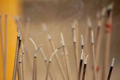 Incense burn to worship the buddha and the sacred.