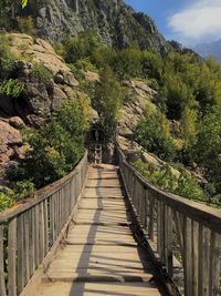 Footbridge amidst plants and trees against sky in the mountain.