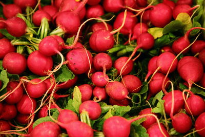 High angle view of radishes