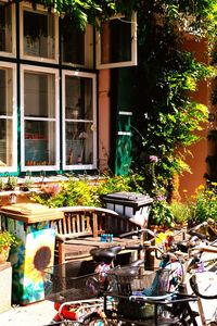 Potted plants on table by building