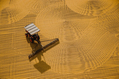 Drying wheat